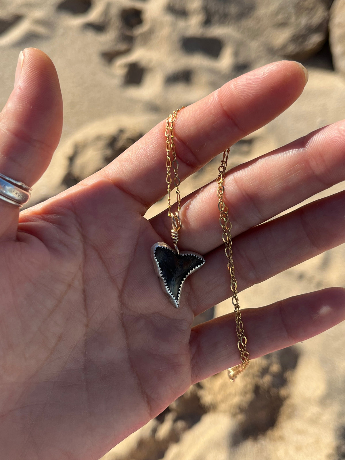 Mixed Metal Shark Tooth Necklace