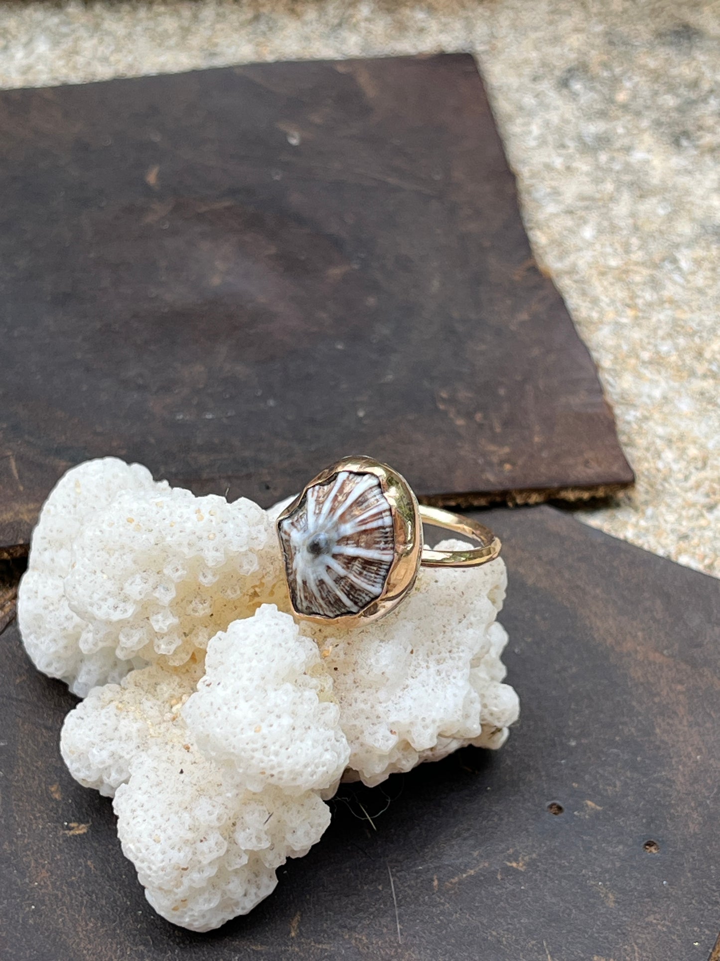 'Opihi Shell Ring MTO