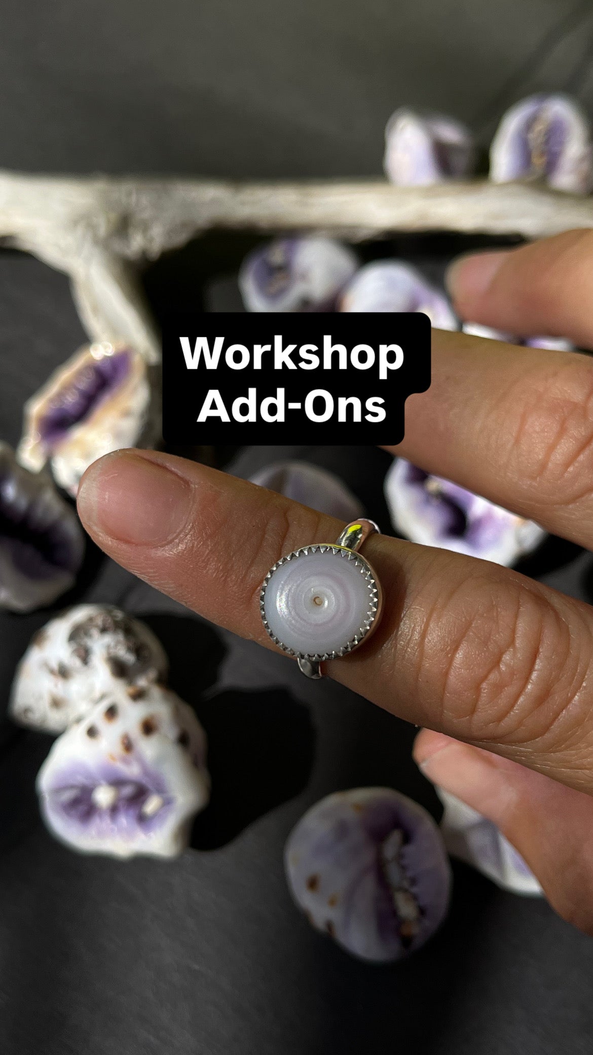 Workshop Add-Ons
