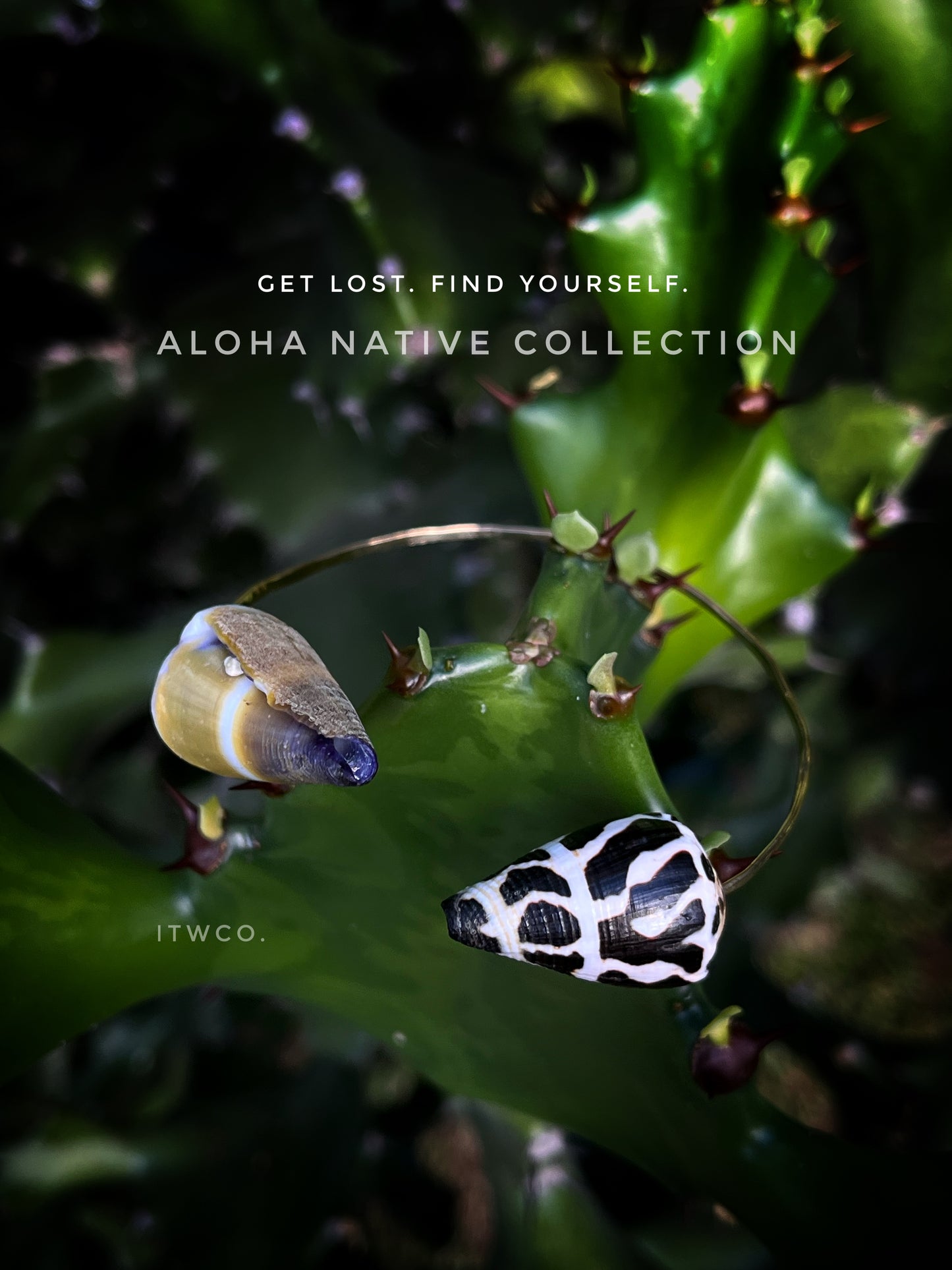 Seashell Statement Cuff MTO