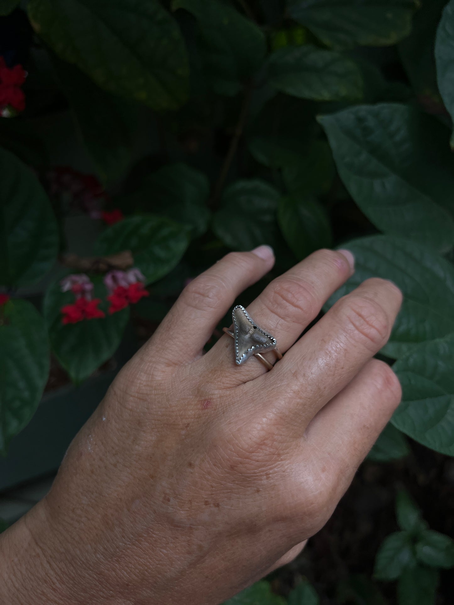 Shark Tooth Ring RTS