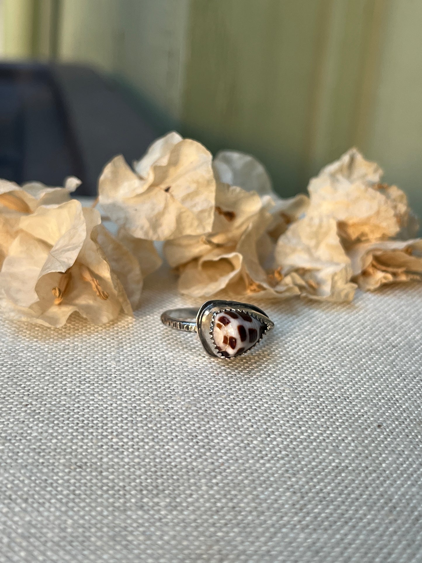 Hebrew Shell Ring Sterling | Sz. 8