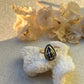 Chaldean Shell Ring | Sz. 7.8