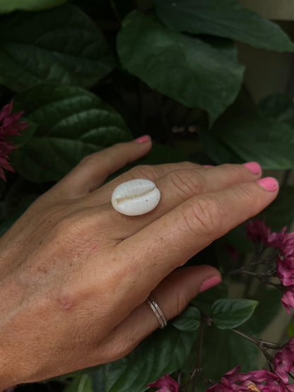 Granulated Cowrie Ring MTO