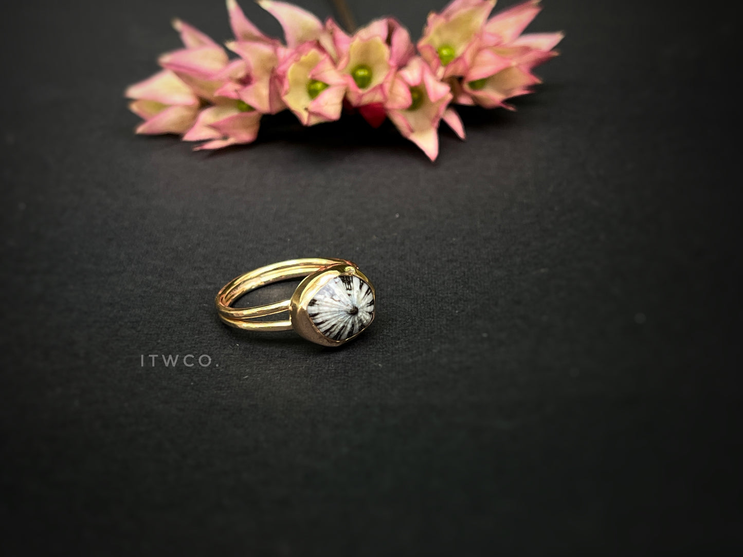 Double Band 'Opihi Shell Ring MTO