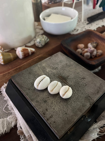 Granulated Cowrie Ring MTO