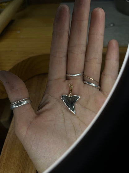 Mixed Metal Shark Tooth Necklace