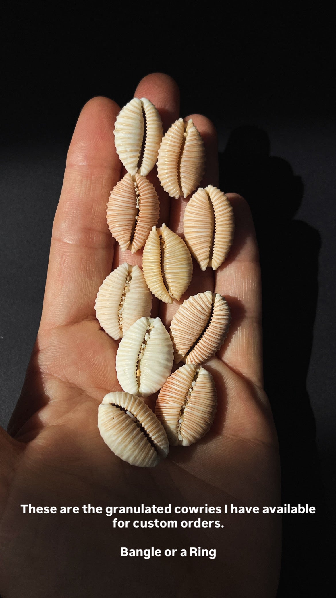 Granulated Cowrie Ring MTO