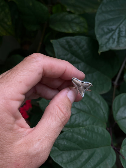 Shark Tooth Ring (sterling / 14k gf)
