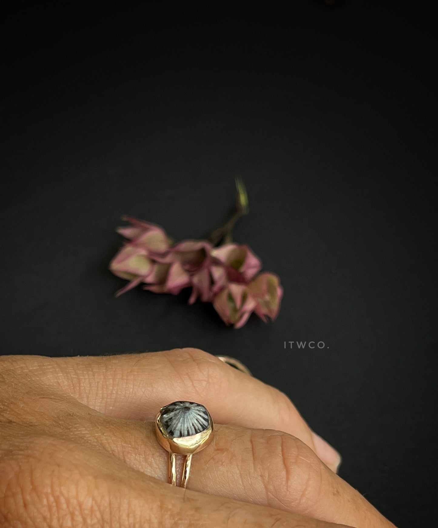 Double Band 'Opihi Shell Ring MTO