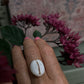Granulated Cowrie Ring MTO