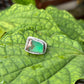 Chrysoprase Mixed Metal Ring