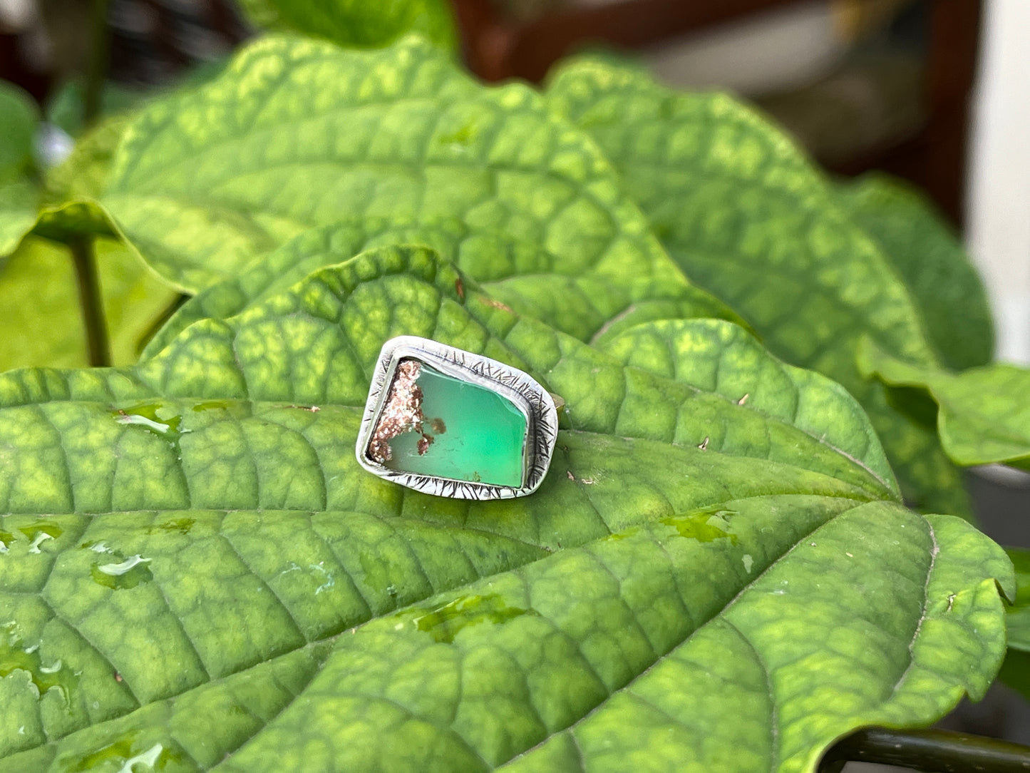 Chrysoprase Mixed Metal Ring