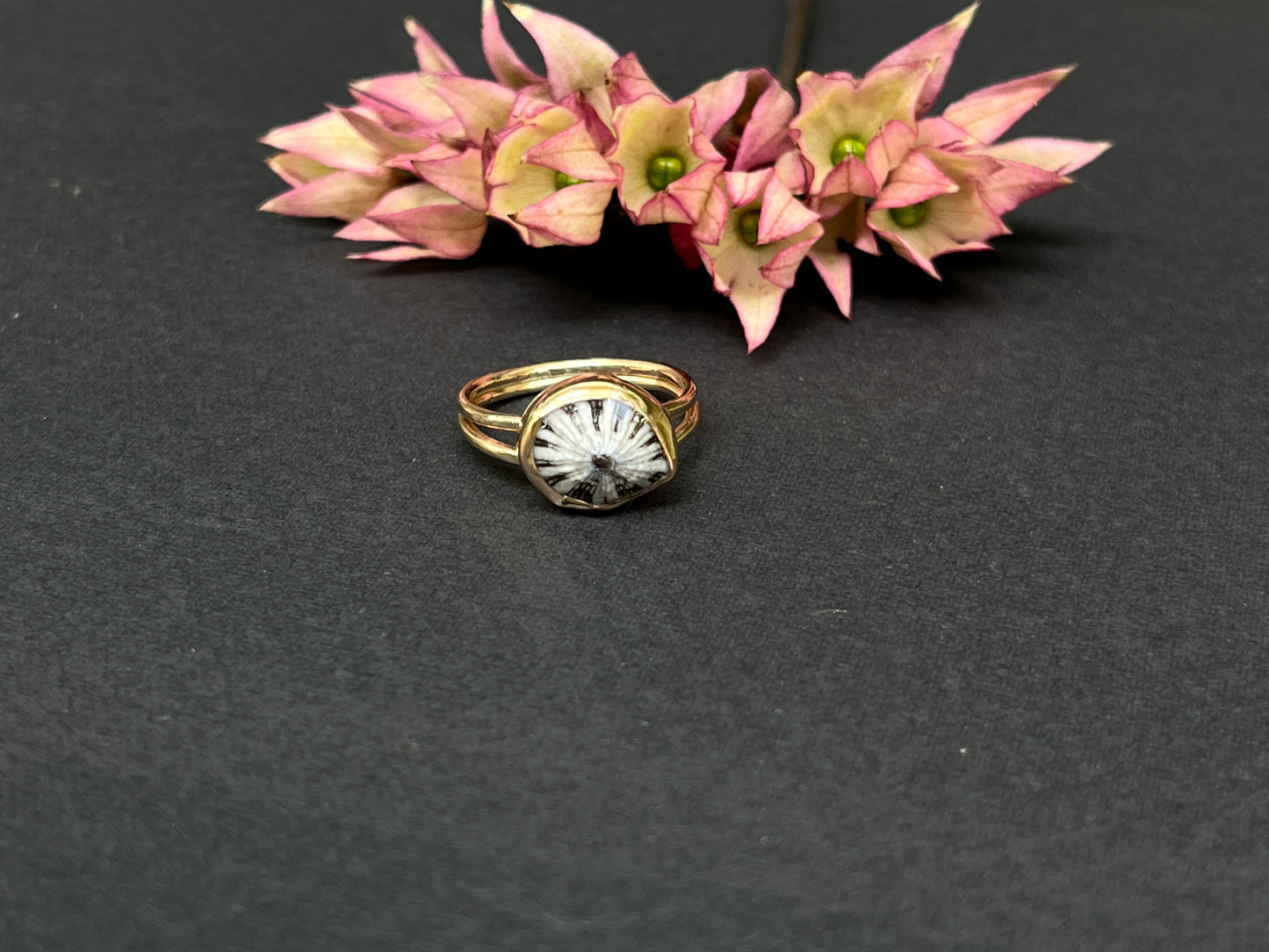 Double Band 'Opihi Shell Ring MTO