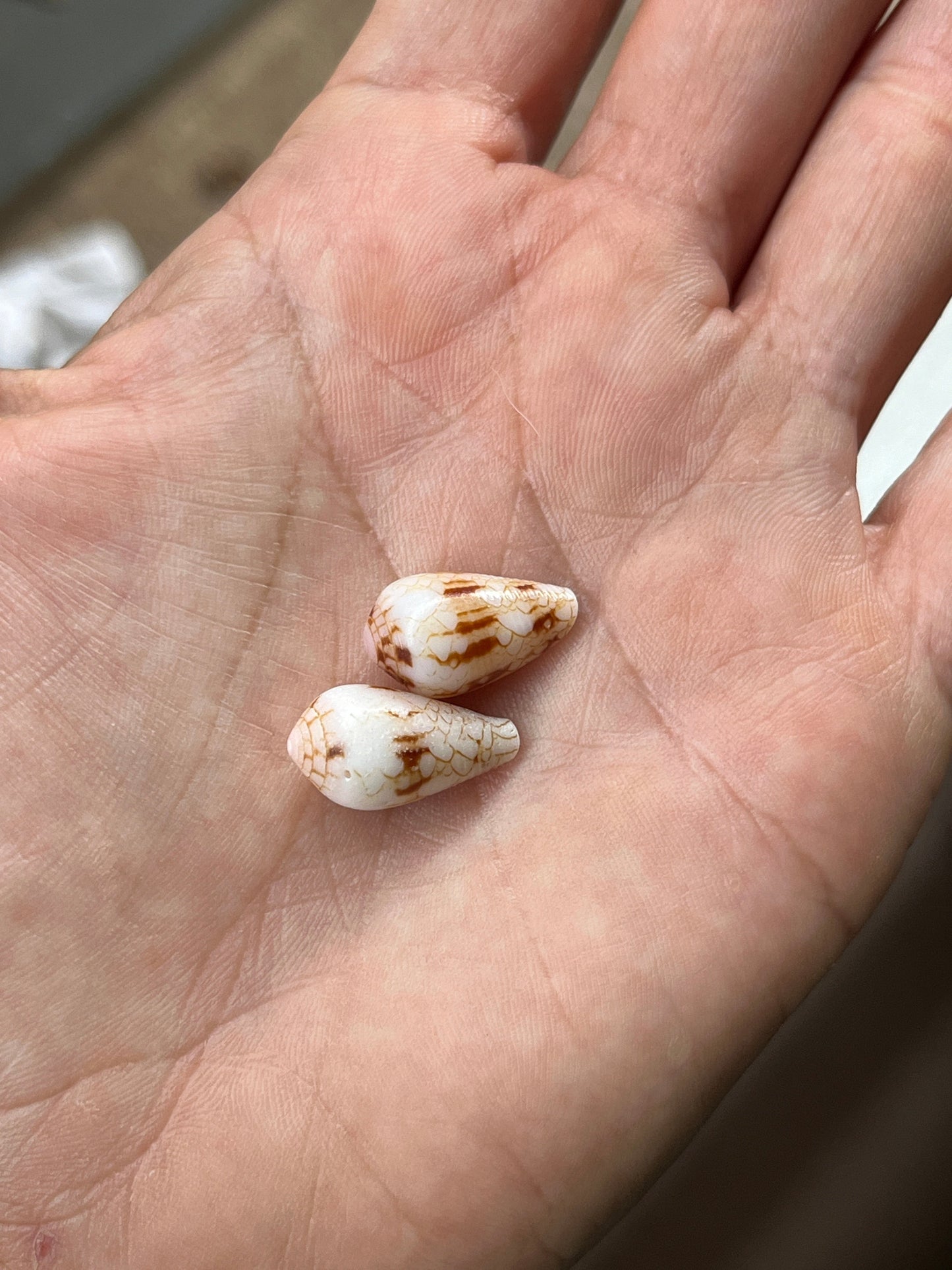 Workshop Schedule 2 | April - May