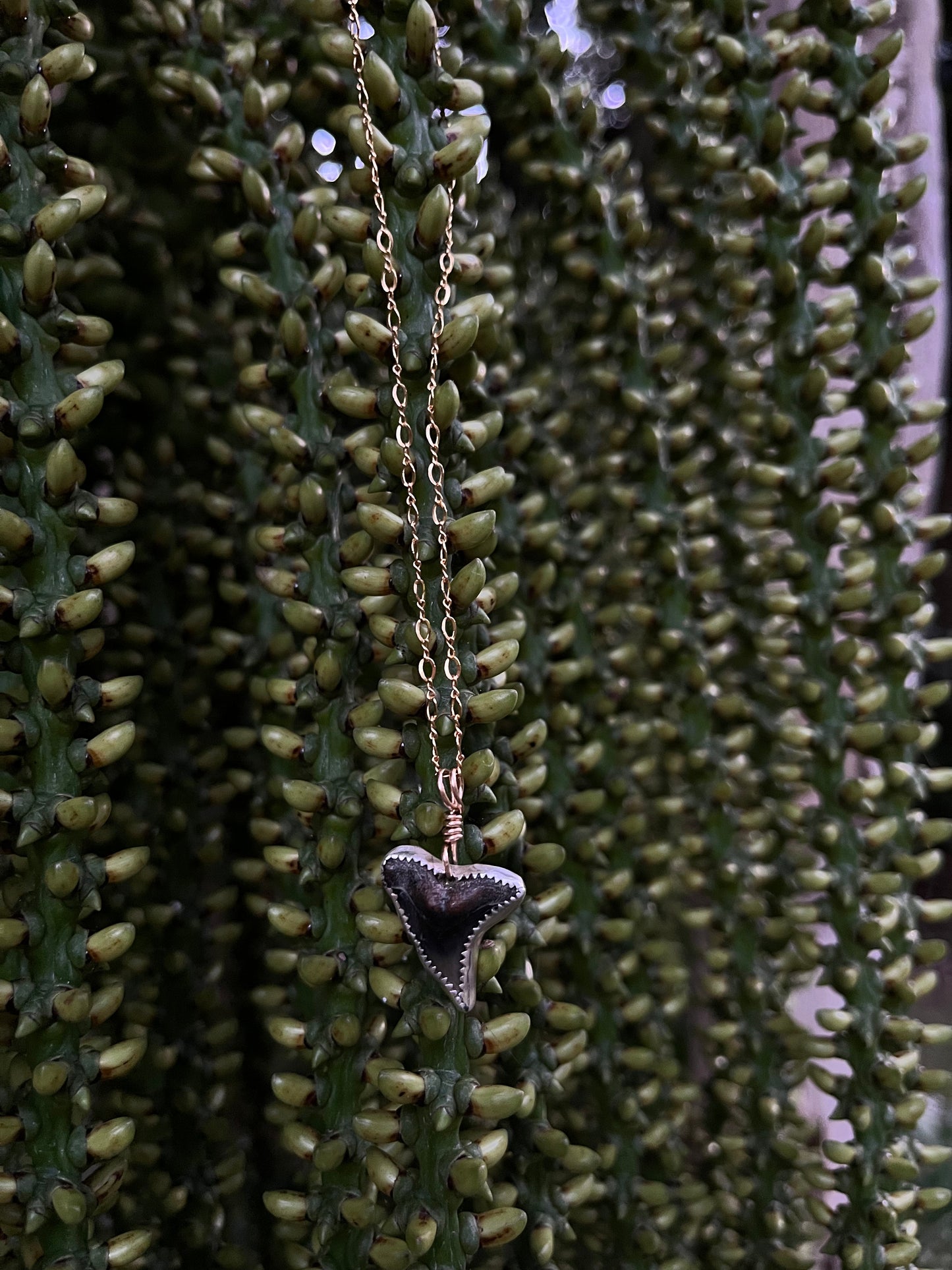 Mixed Metal Shark Tooth Necklace
