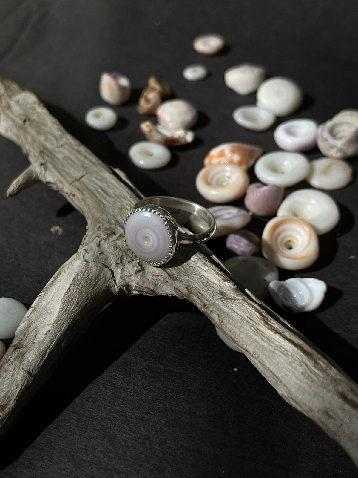 Hawaiian Puka Shell Ring
