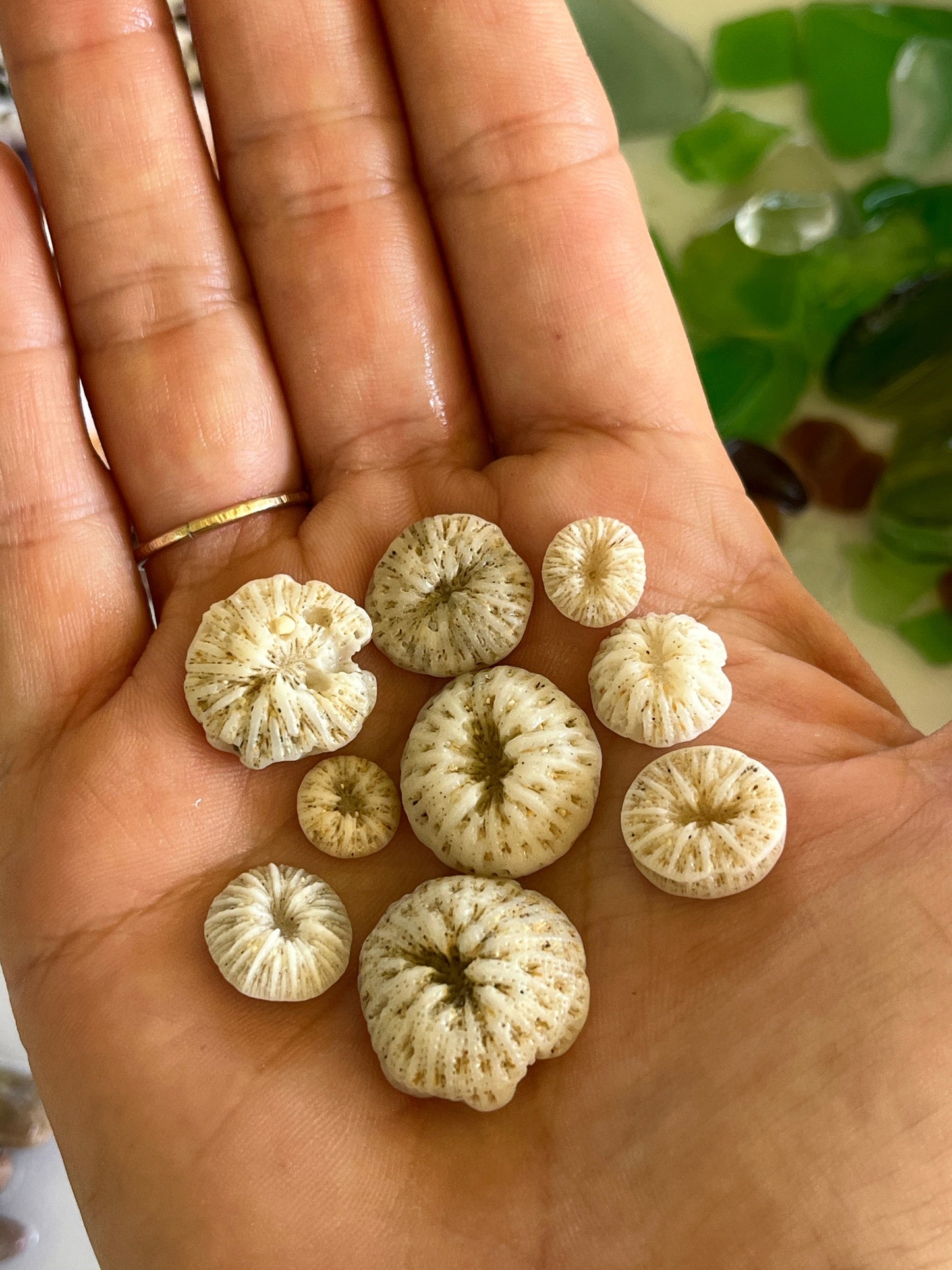 Workshop Schedule 1 | Feb - March