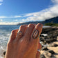 Hawaiian Cowrie Shell Ring MTO