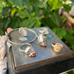 Seaglass Shell Ring | Sterling | Sz. 7.8