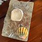 Sunrise Shell Bezel Cuff Specialty Workshop