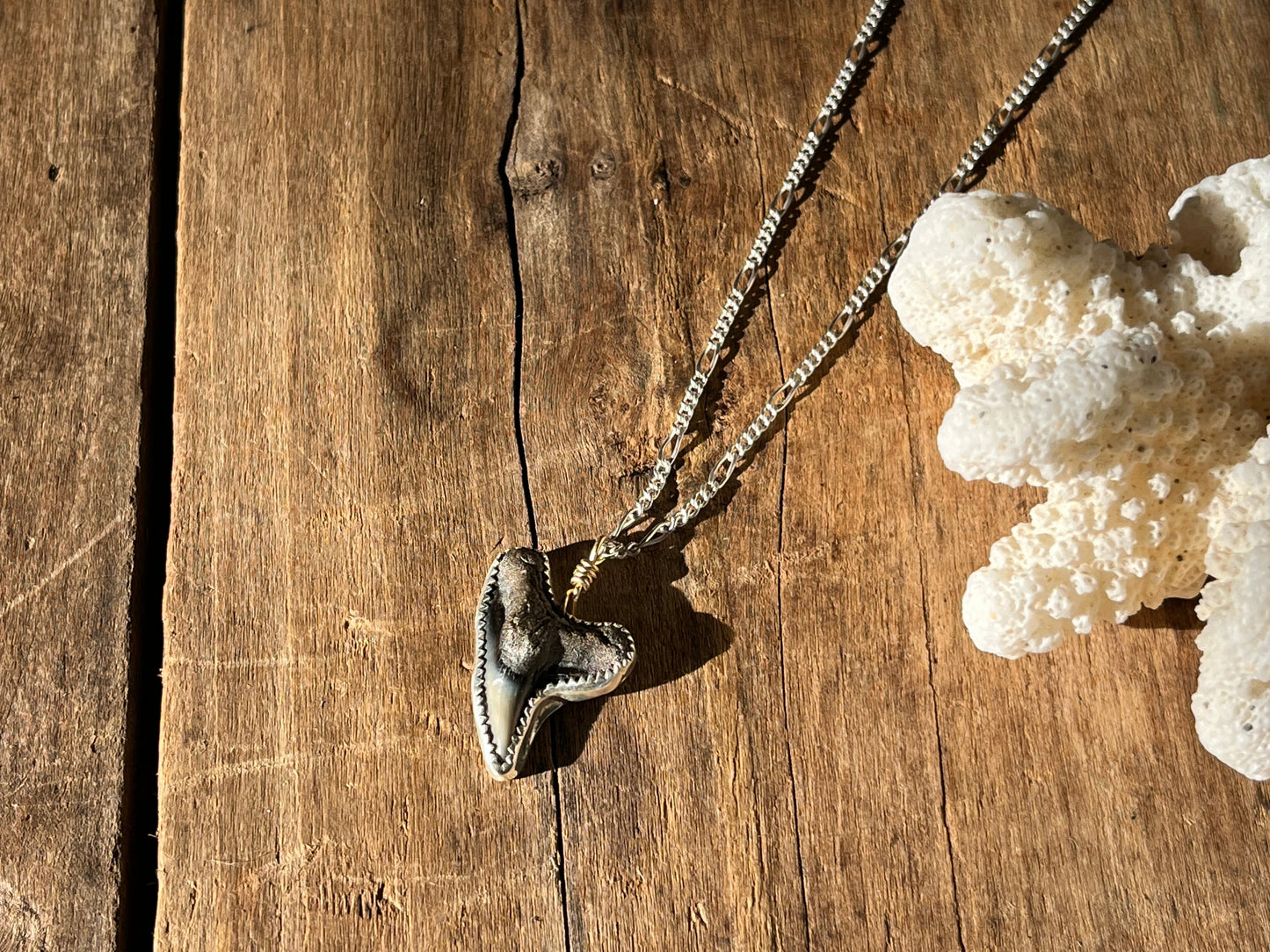 Sea Island Fossalized Shark Tooth Necklace