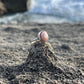 Cinnamon Bun Puka Shell Ring RTS