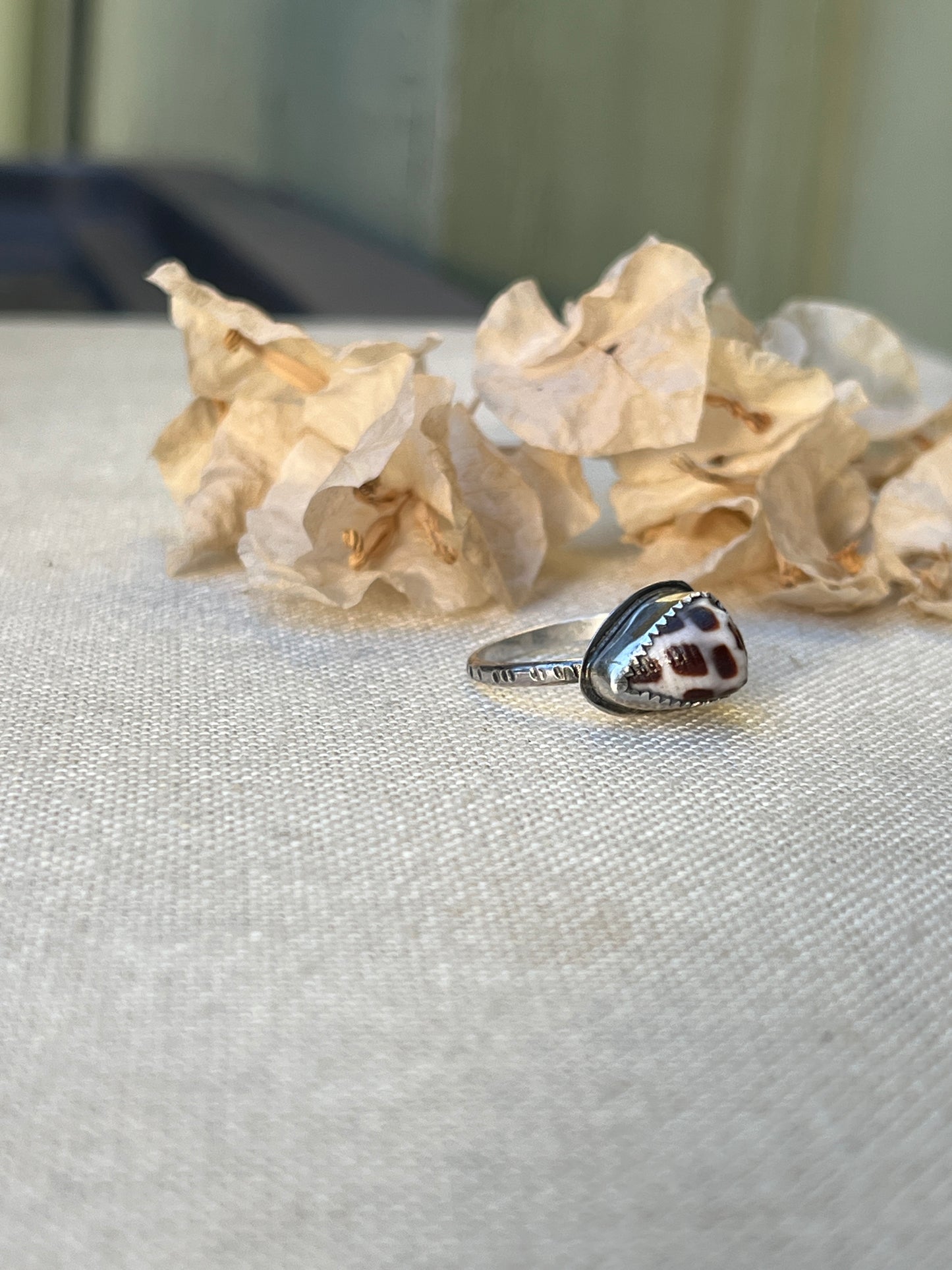 Hebrew Shell Ring Sterling | Sz. 8
