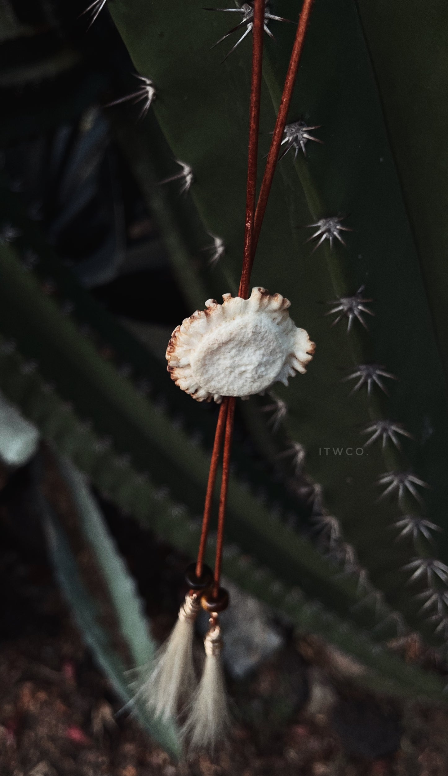 Signature Whitetail Burr Bolo Tie | gemstone x horsehair CUSTOM