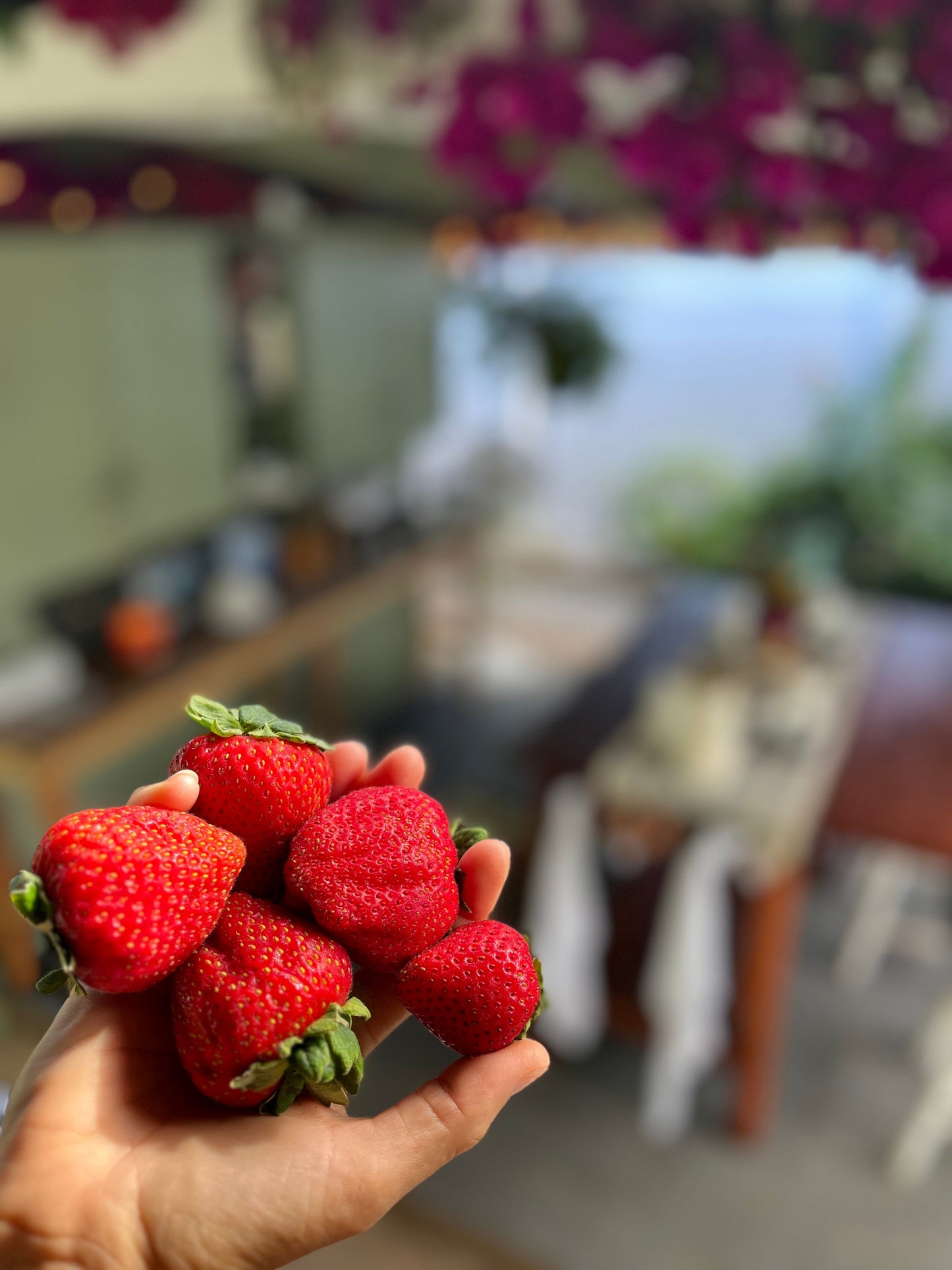 Workshop Schedule 2 | April - May