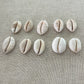 Granulated Cowrie Ring MTO