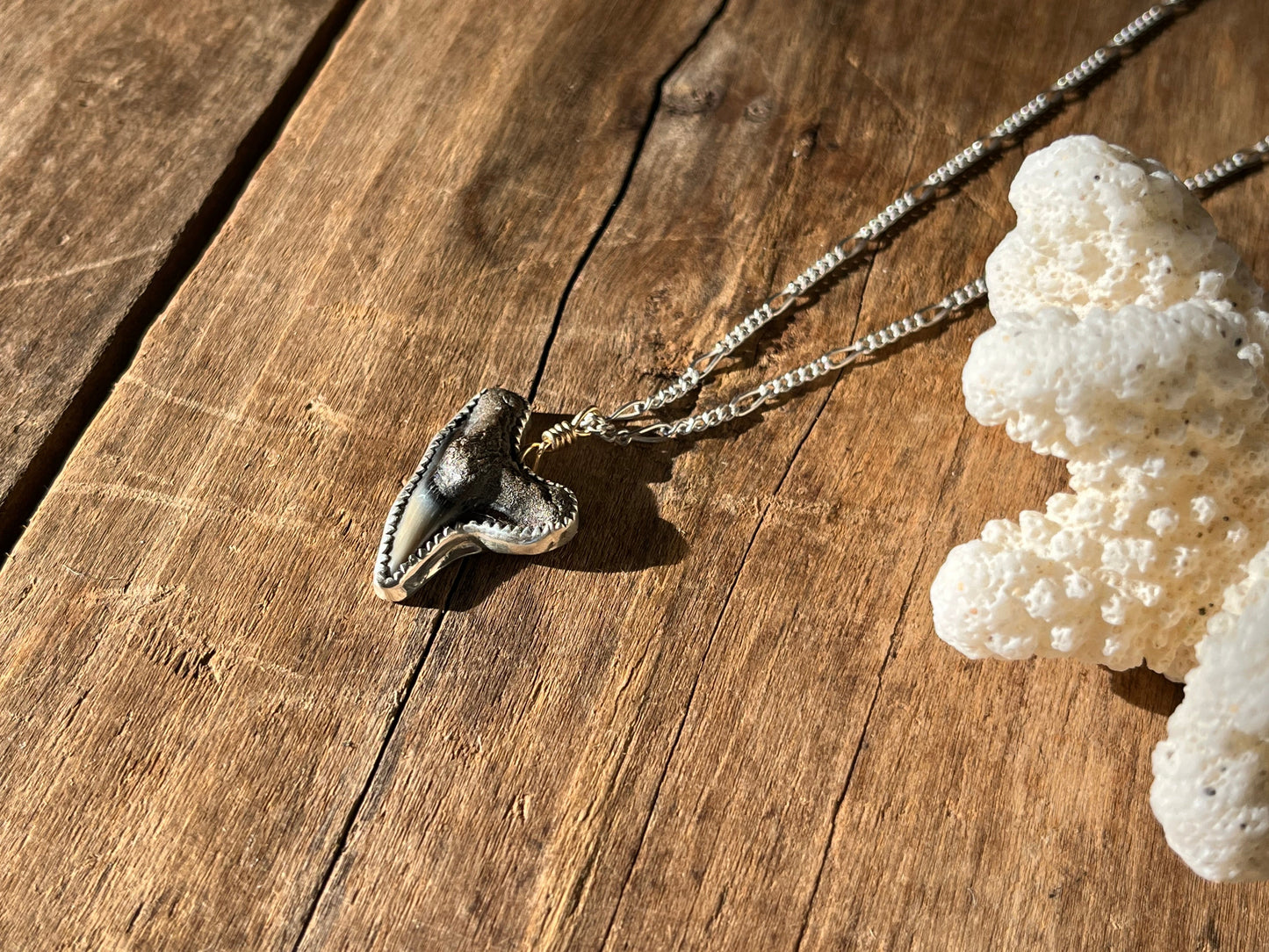 Sea Island Fossalized Shark Tooth Necklace