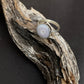Puka Shell Ring RTS