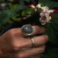 Hand wearing a gold ring with a dark opihi shell against a natural background