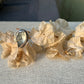 Seaglass Shell Ring | Sterling | Sz. 7.8