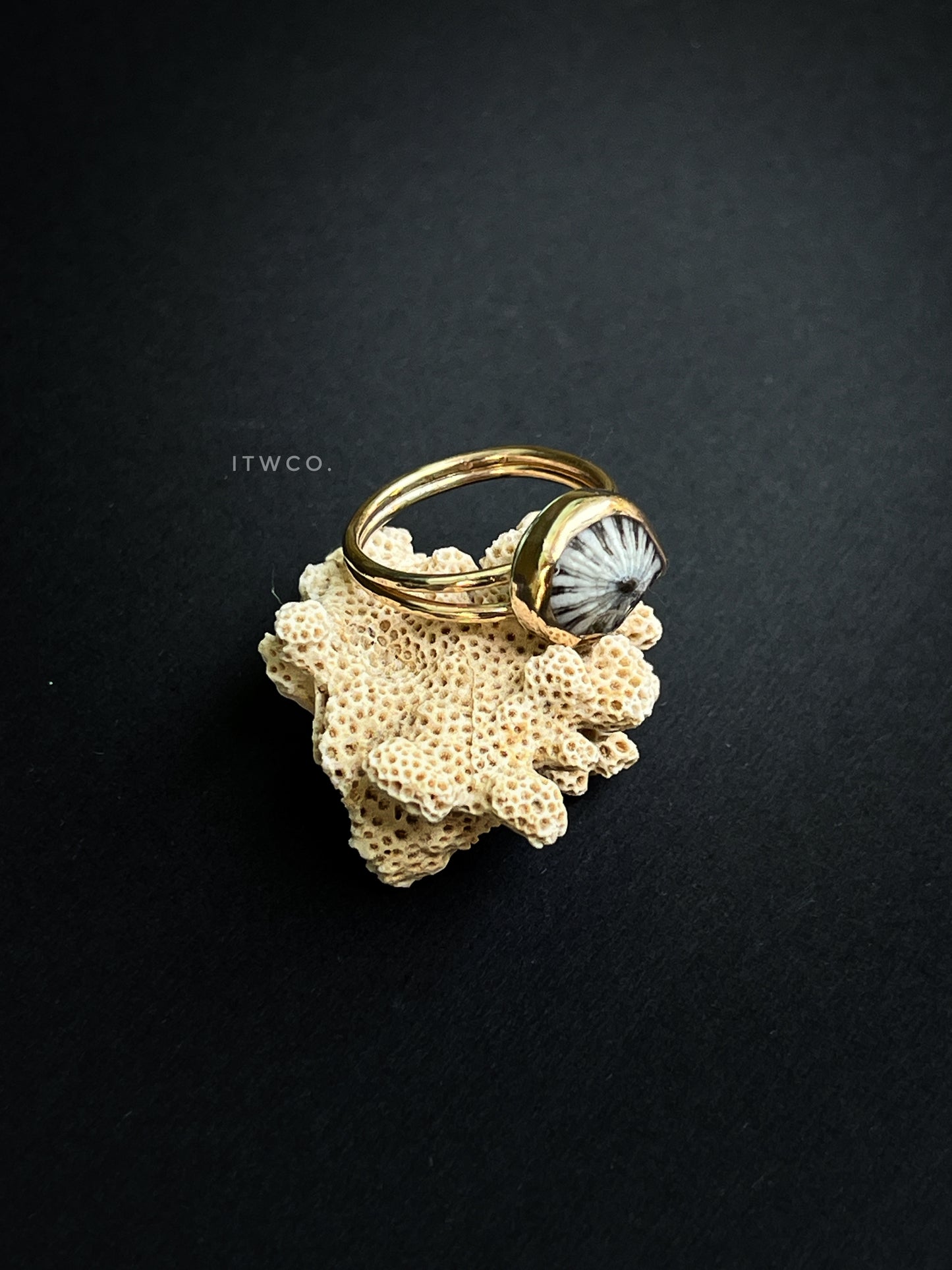 Double Band 'Opihi Shell Ring MTO