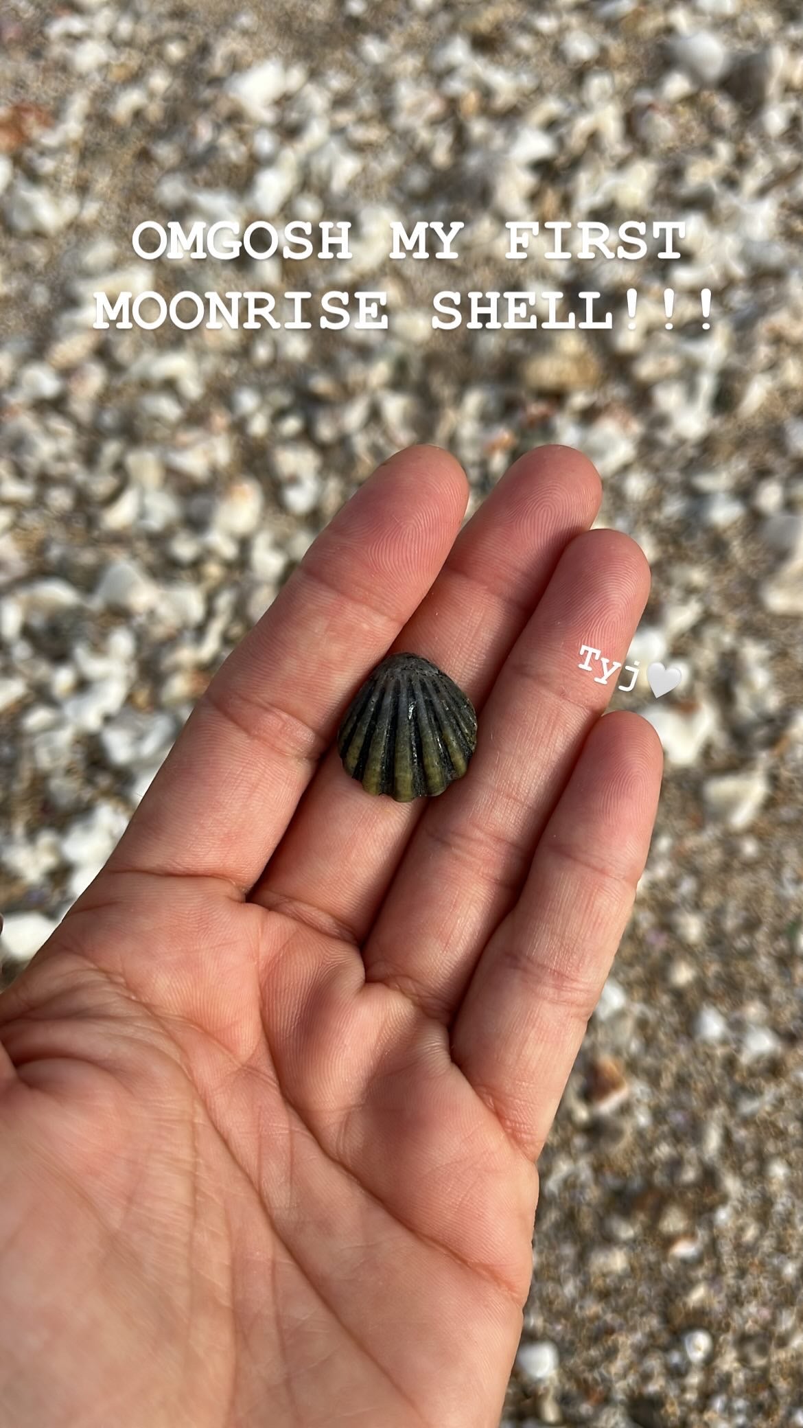 Workshop Schedule 2 | April - May