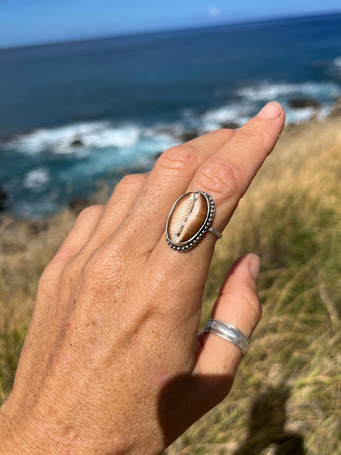 Workshop Schedule 1 | Feb - March