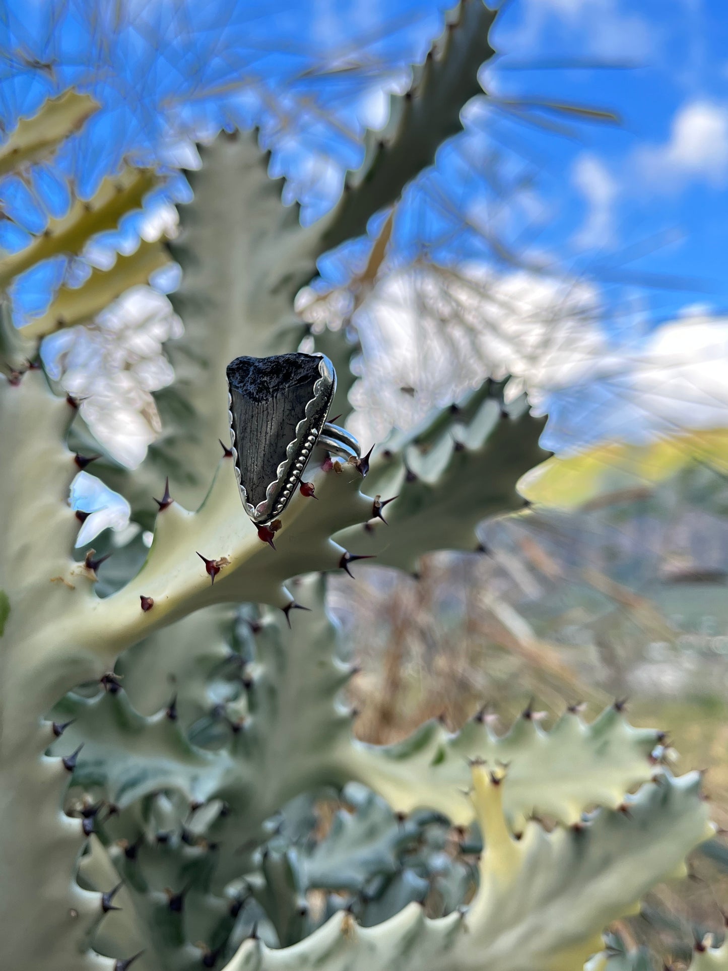 Great White Statement Ring