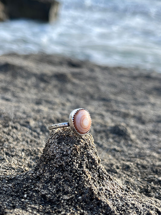 Cinnamon Bun Puka Shell Ring RTS