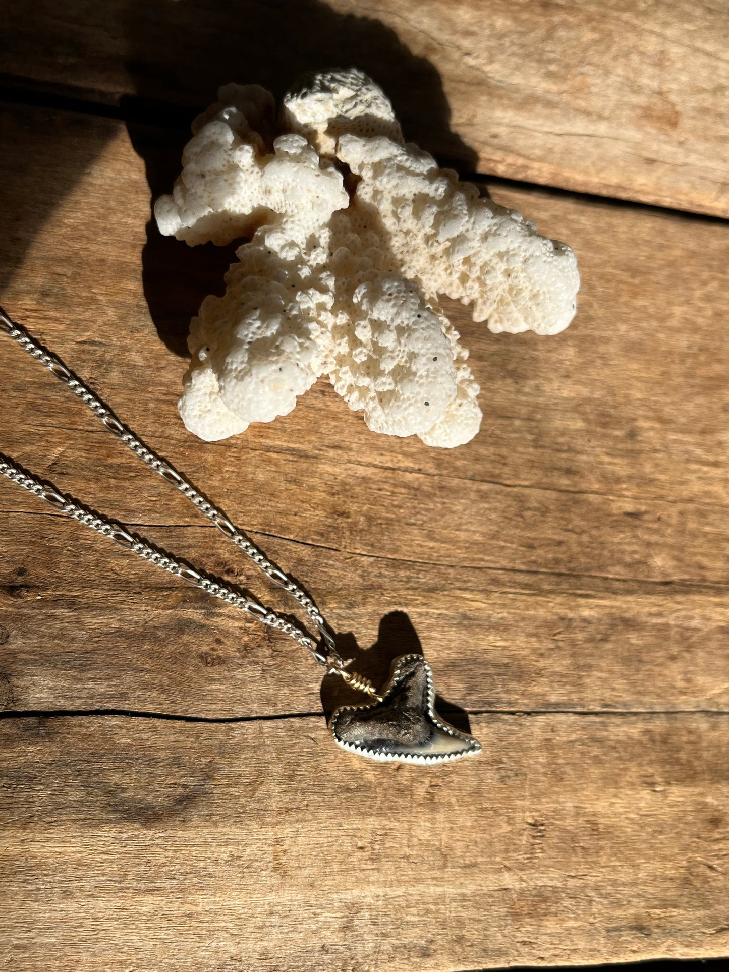 Sea Island Fossalized Shark Tooth Necklace
