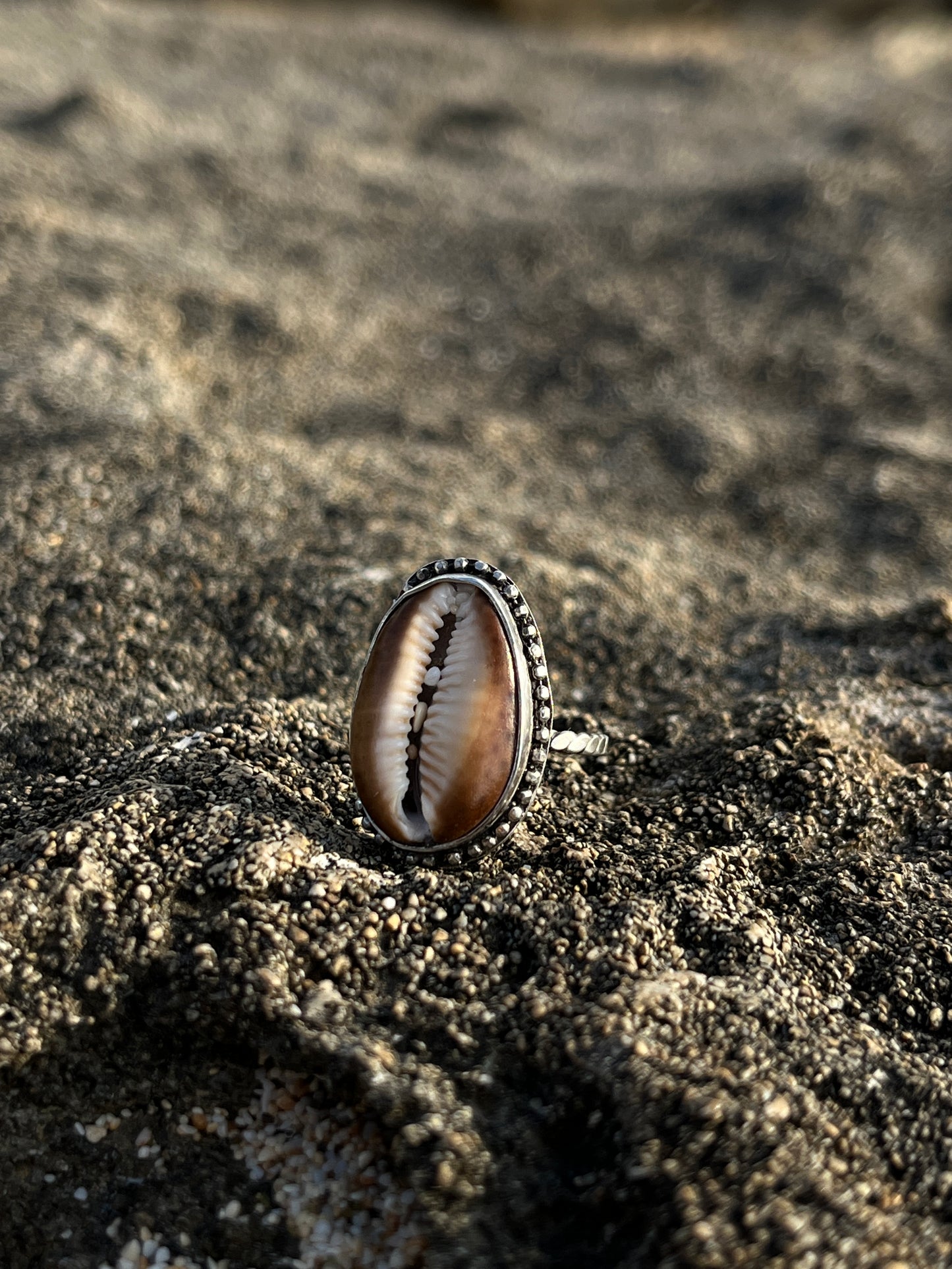 Hawaiian Cowrie Shell Ring MTO