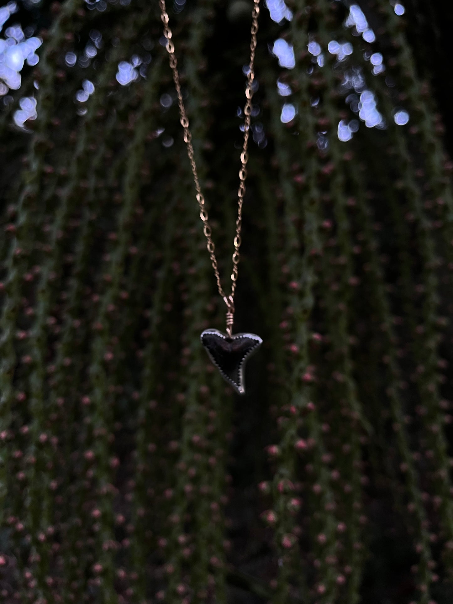 Mixed Metal Shark Tooth Necklace