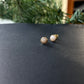 14k gf Mini Puka Shell Studs