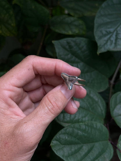 Shark Tooth Ring (sterling / 14k gf)