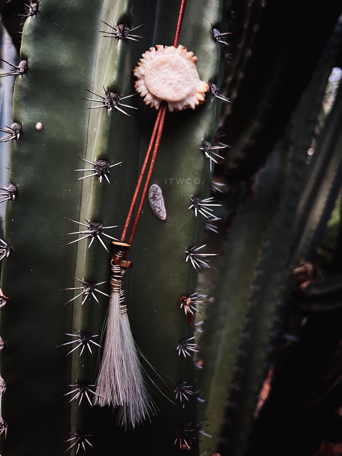 Signature Whitetail Burr Bolo Tie | gemstone x horsehair CUSTOM