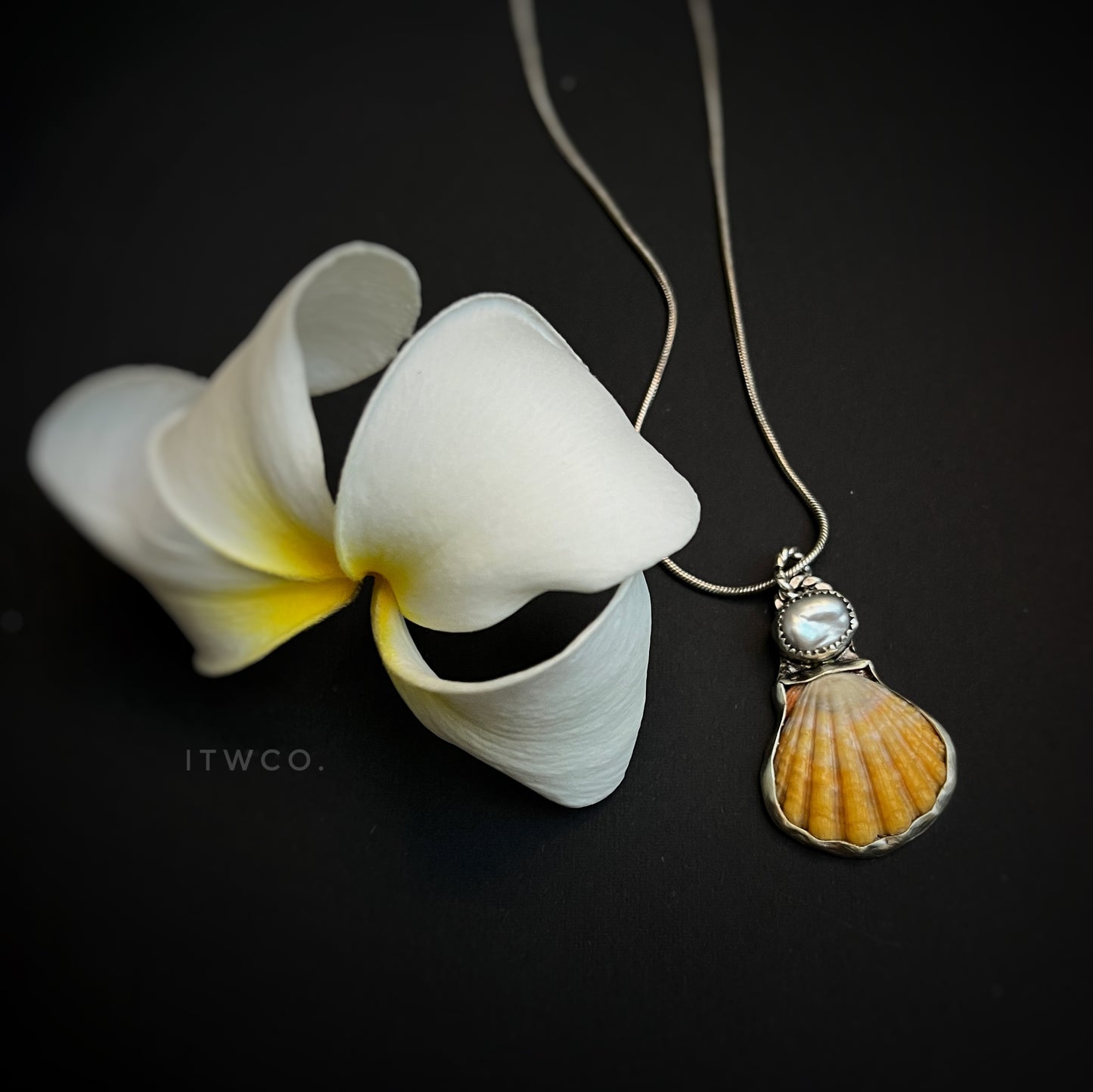 Kaua’i Sunrise Shell X Silver Tahitian Keshi Pearl Pendant