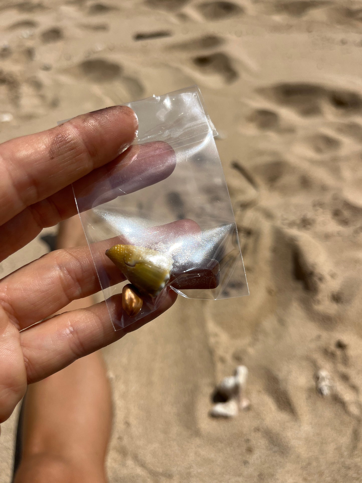 Build A Bangle™️