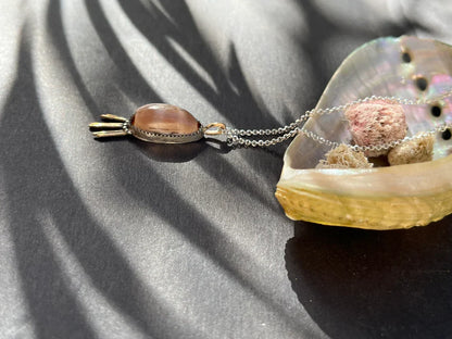 Isabella Cowrie Pendant ONLY