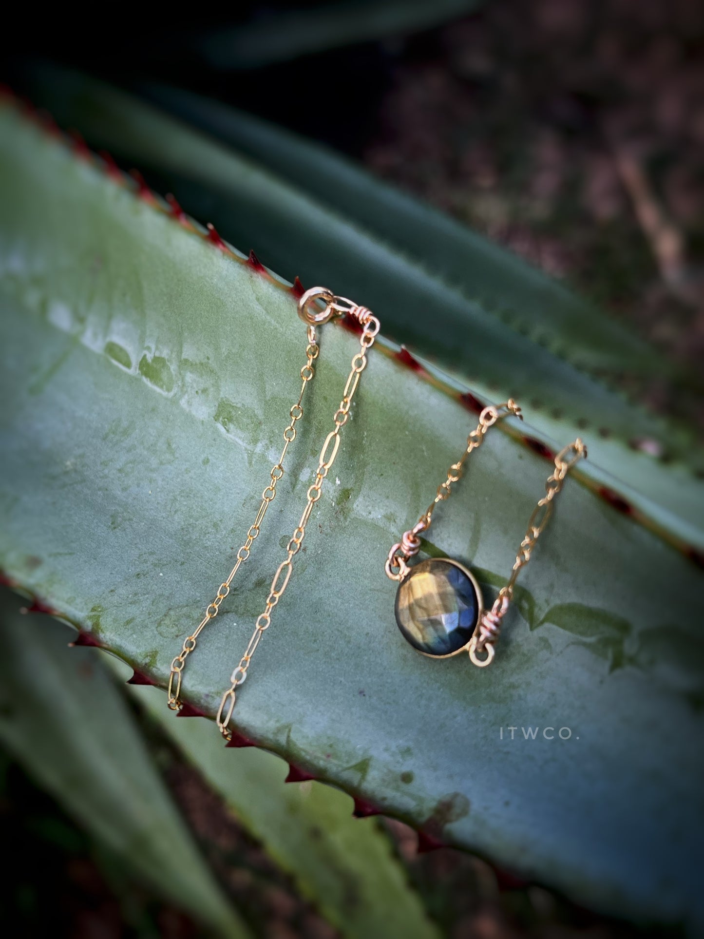 Summer Solstice Collection